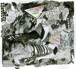 Schmelzer album cover