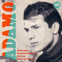 Tombe La Neige album cover